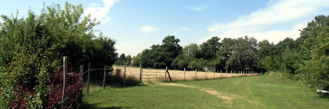 Pferdegarten Wildrosnehof - Bild 1