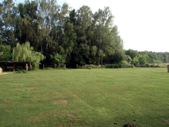 Pferdegarten Wildrosnehof - Bild 3